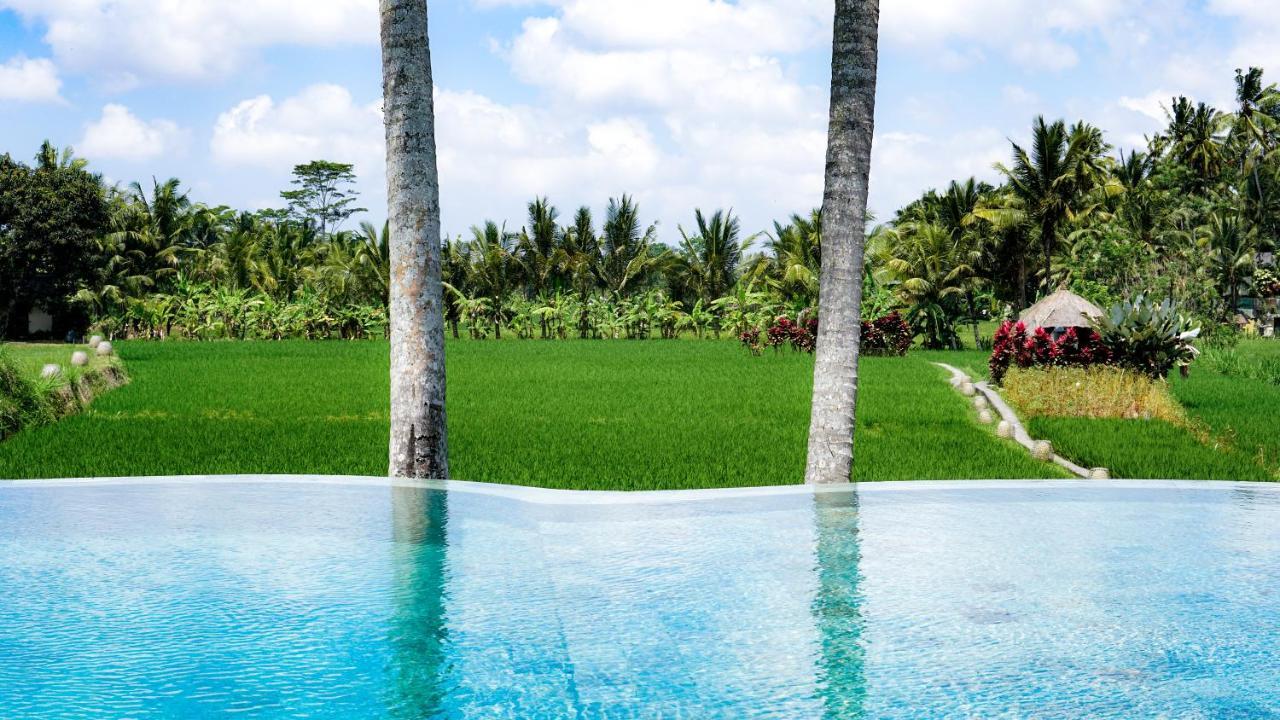 Mathis Retreat Ubud Dış mekan fotoğraf